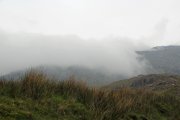IMG01_0715.JPG
