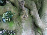 IMG_2654.JPG